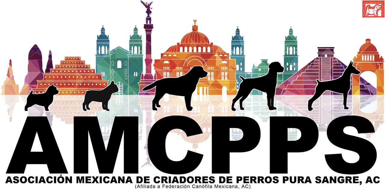 Asociación Mexicana de Criadores de Perros Pura Sangre, AC.