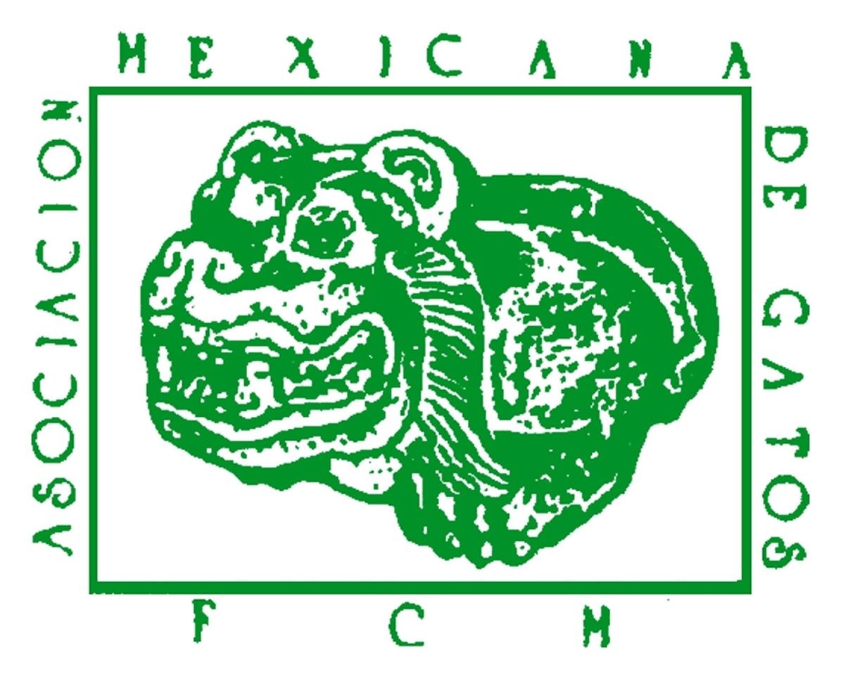 Asociación Mexicana de Gatos