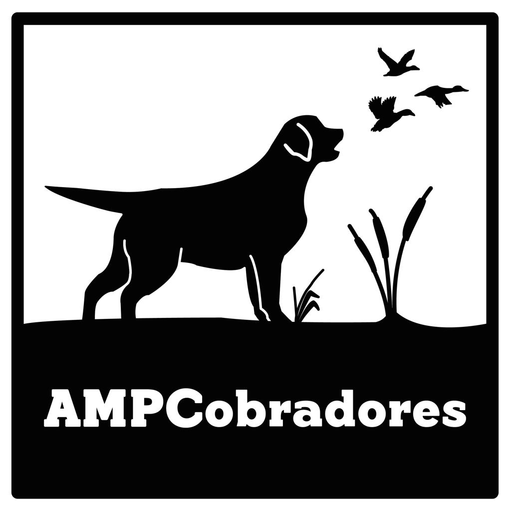 Asociación Mexicana de Perros Cobradores, AC.