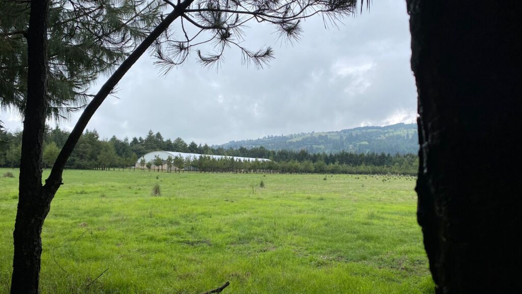 Campo FCM Ajusco