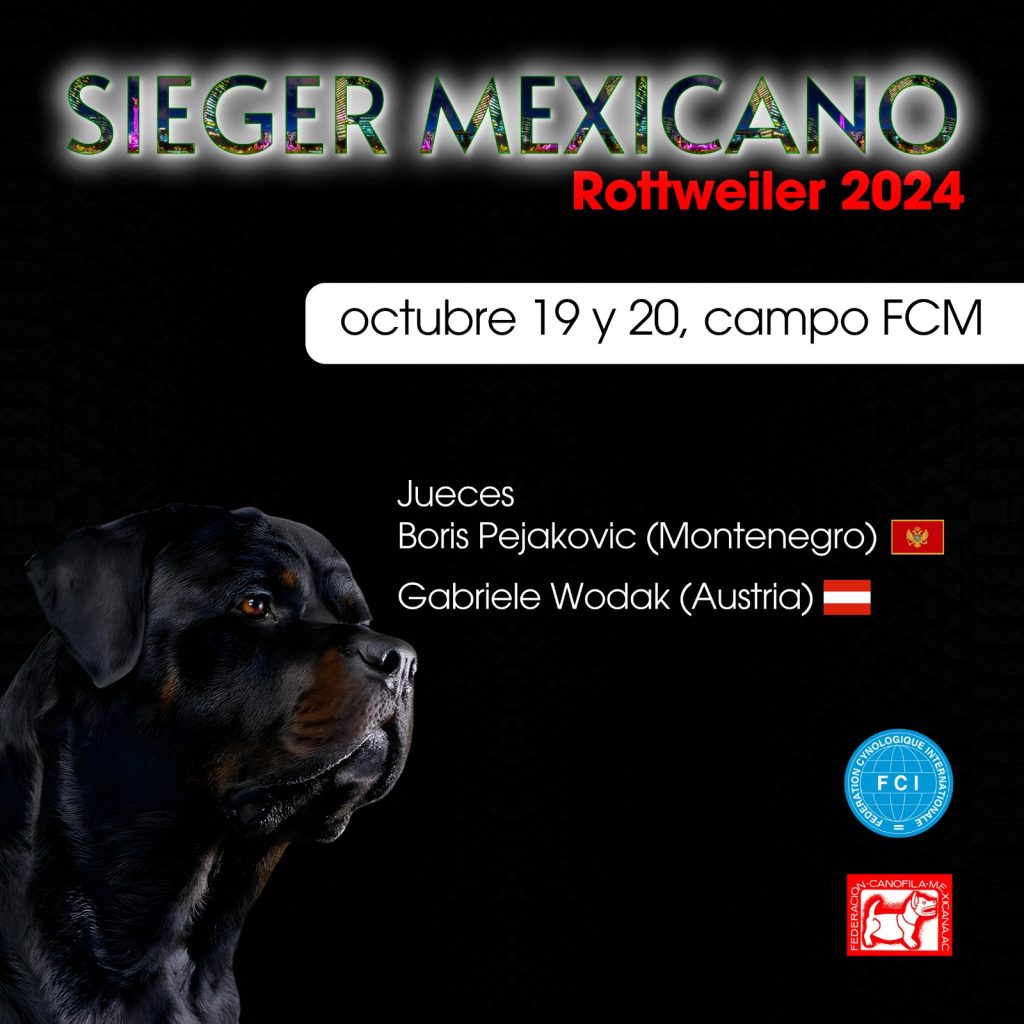 Sieger Rotweiller