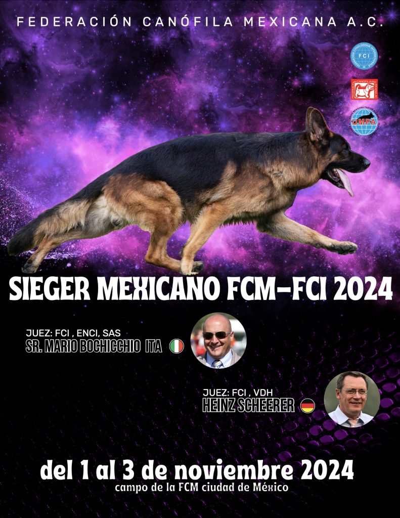 Sieger Mexicano de Pastor Alemán FCI - FCM 2024