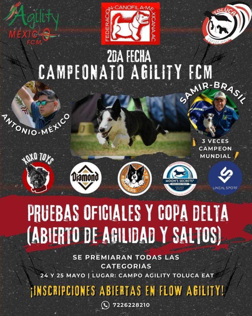Escuela Agility Toluca - Campeonato Agility FCM