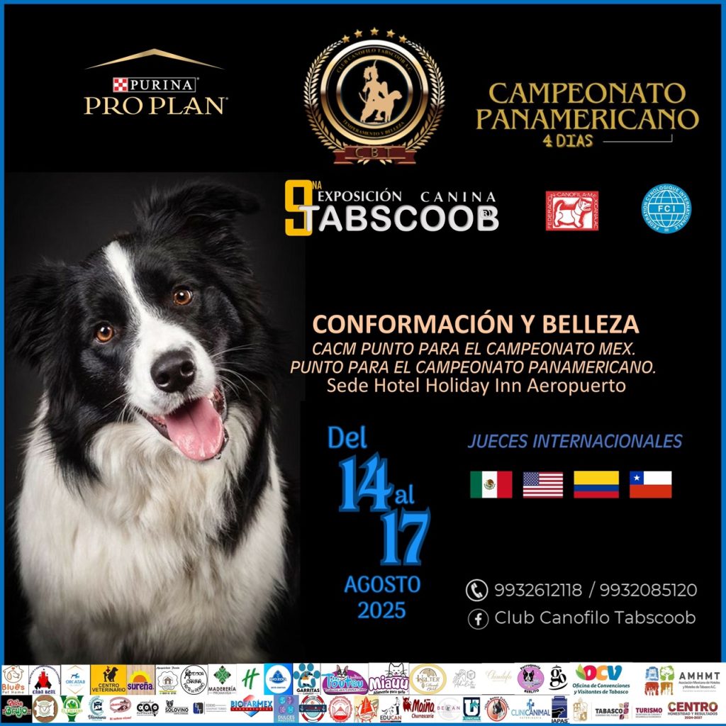 Club Canofilo Tabscoob AC. - Todas la razas