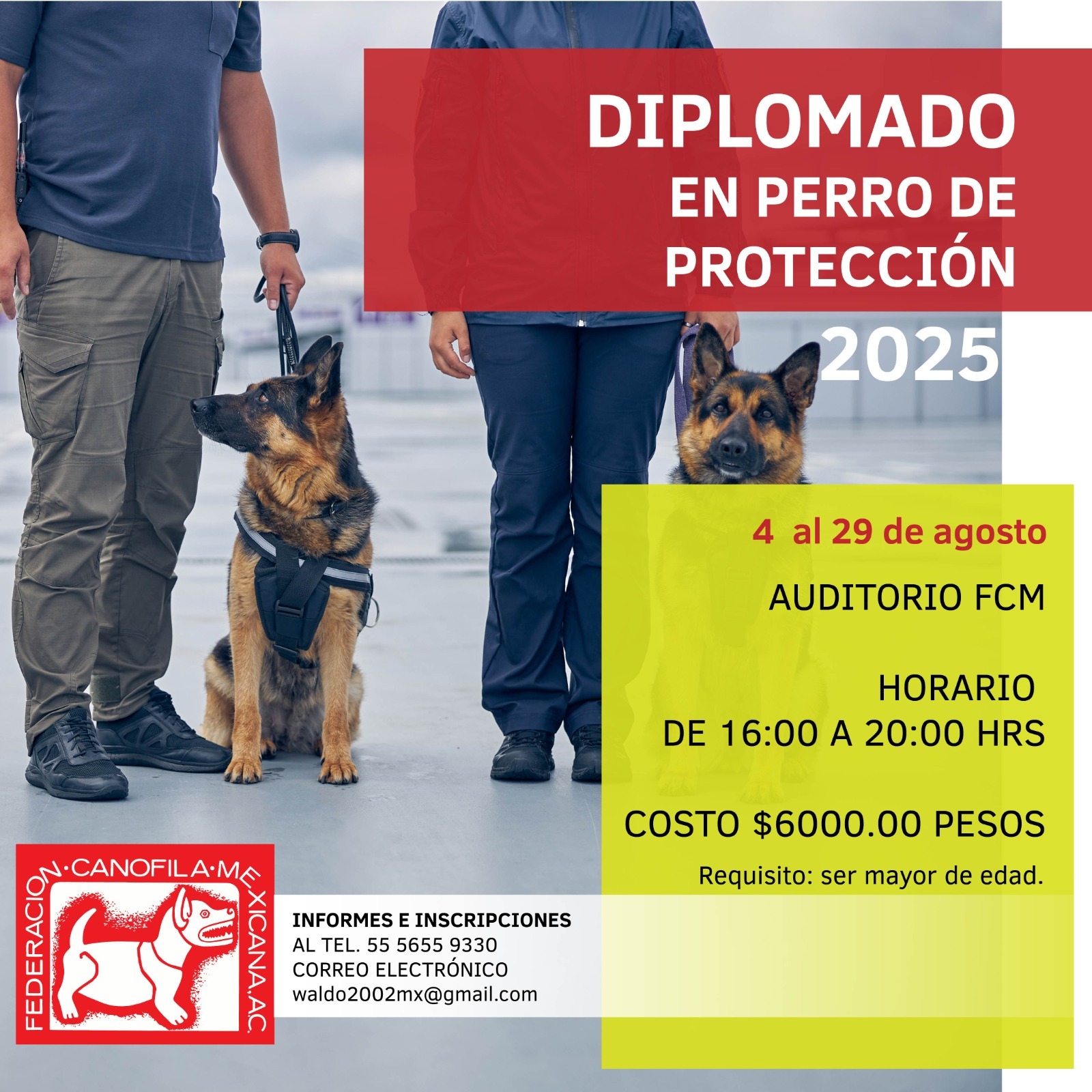 Diplomado Perro de Proteccion