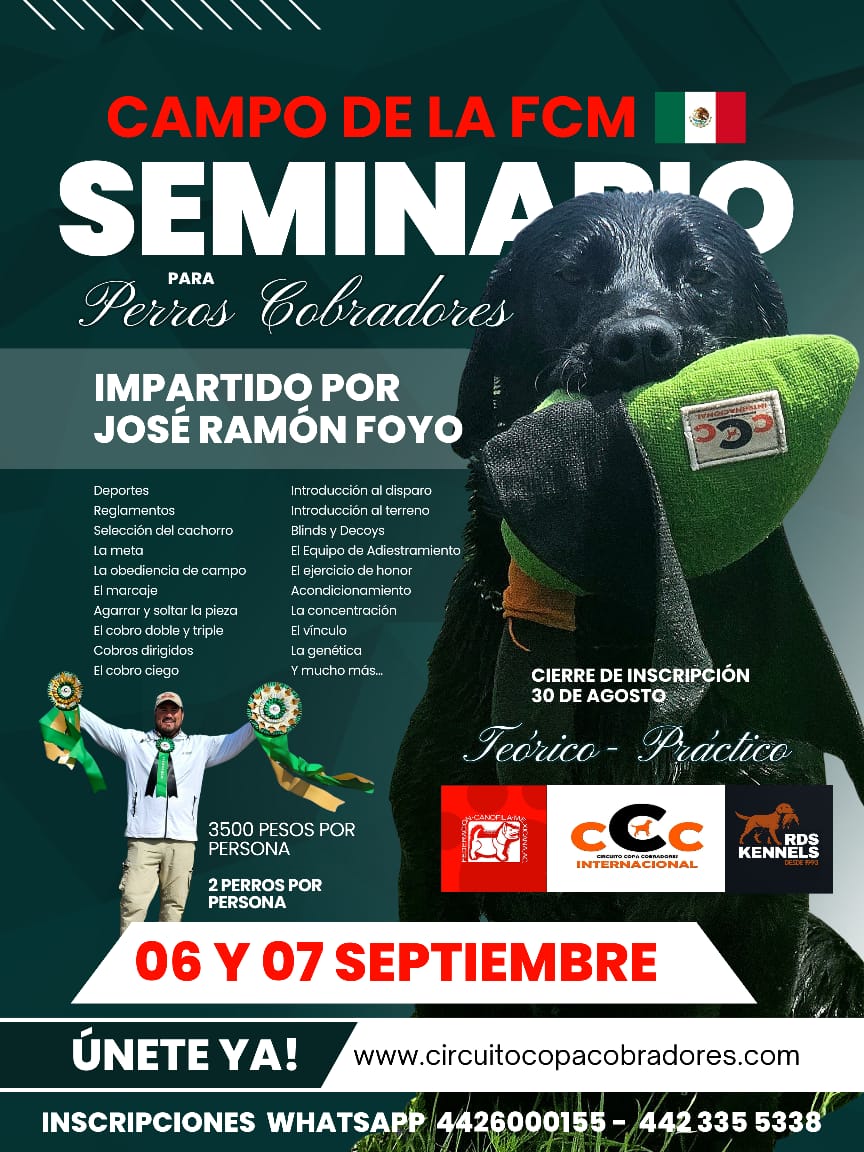 Seminario perro de cobro - FCM