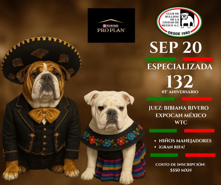 Club de Bulldog de la ciudad de México - Especializada - Expo Can 2025