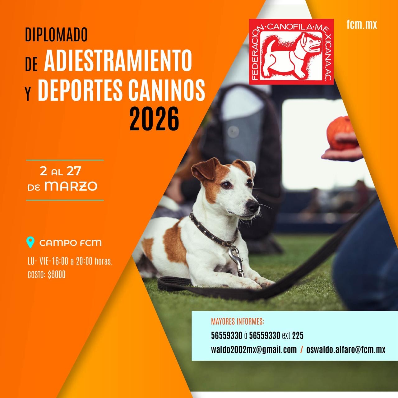 Diplomado Adiestramiento